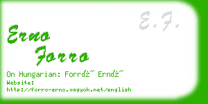 erno forro business card