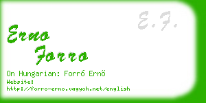 erno forro business card